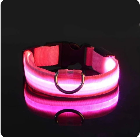 Pet Clothing Store Dog Collar Nylon LED Night Safety