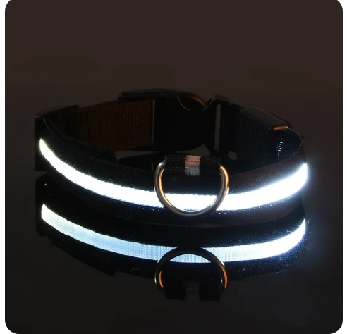 Pet Clothing Store Dog Collar Nylon LED Night Safety