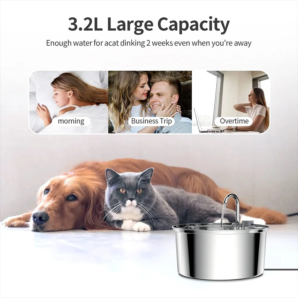 Pets Drinking Water Dispenser With Filter