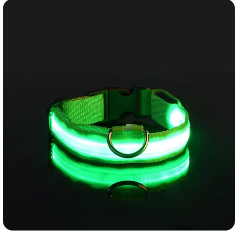 Pet Clothing Store Dog Collar Nylon LED Night Safety