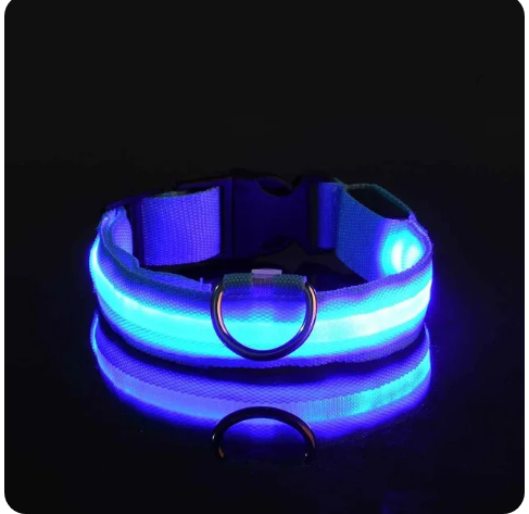 Pet Clothing Store Dog Collar Nylon LED Night Safety