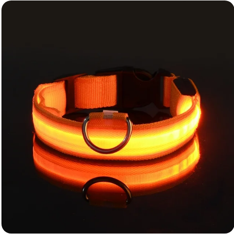 Pet Clothing Store Dog Collar Nylon LED Night Safety