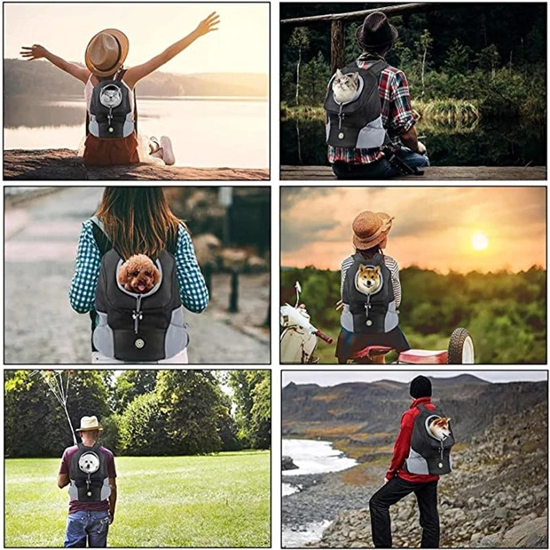 Carrying Pet Cat Dog Backpack Out Walking Travel Portable Transport Bag Animal Backpack for Small Dogs&nbsp;