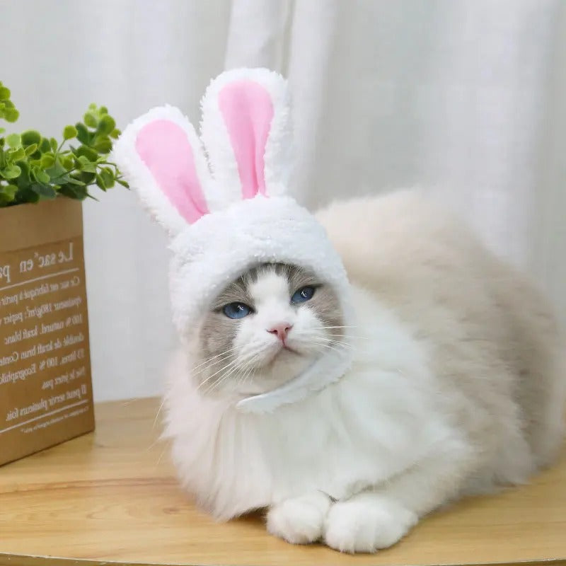 Cat Headgear Cute Rabbit Ears Cap For Cats Warm Plush Pet Hat Christmas Cosplay Props Photoprop Kitten Headdress Cat Accessories