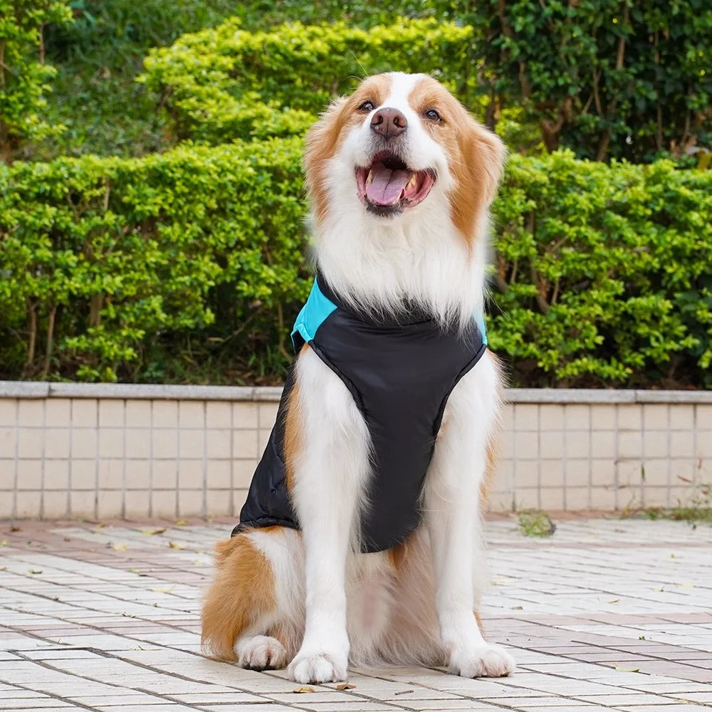 Puppy Waterproof Jacket Vest Raining Coat