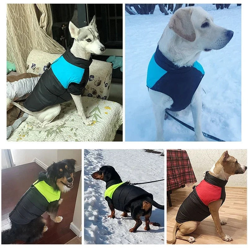 Puppy Waterproof Jacket Vest Raining Coat