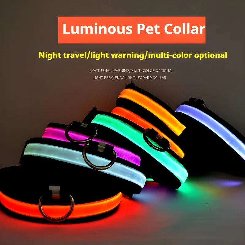 Pet Clothing Store Dog Collar Nylon LED Night Safety