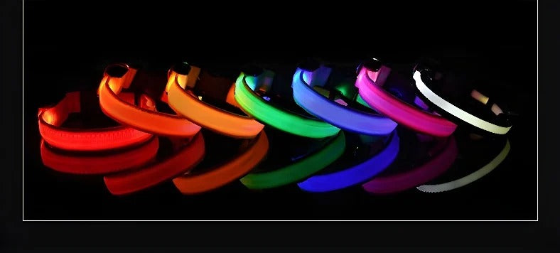 Pet Clothing Store Dog Collar Nylon LED Night Safety