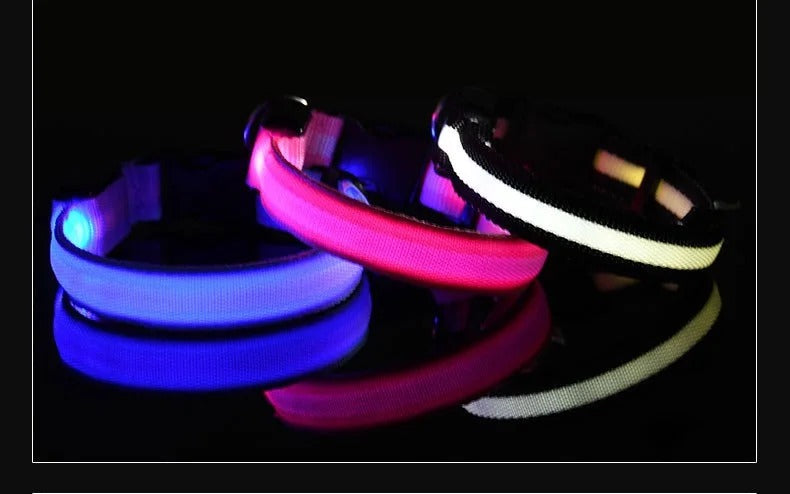 Pet Clothing Store Dog Collar Nylon LED Night Safety