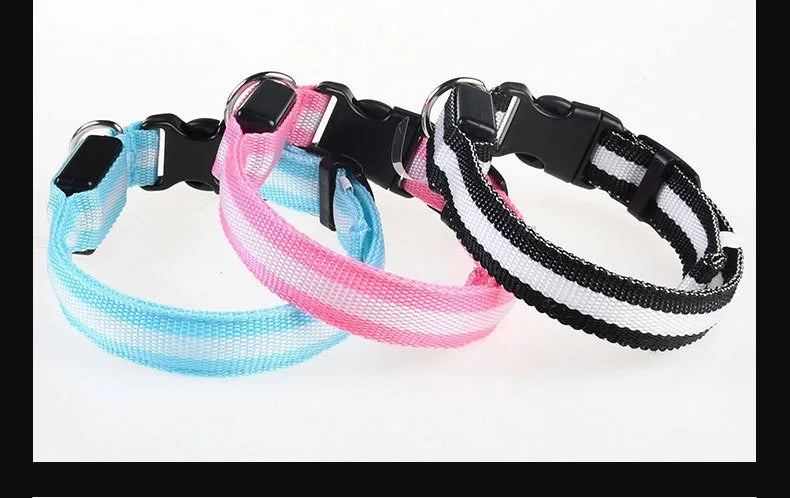 Pet Clothing Store Dog Collar Nylon LED Night Safety