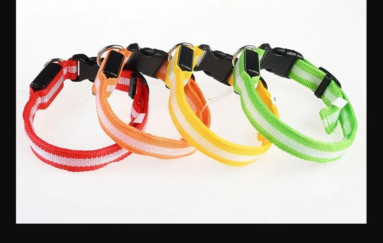 Pet Clothing Store Dog Collar Nylon LED Night Safety