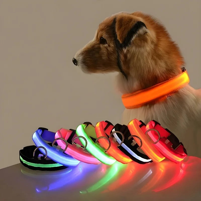 Pet Clothing Store Dog Collar Nylon LED Night Safety