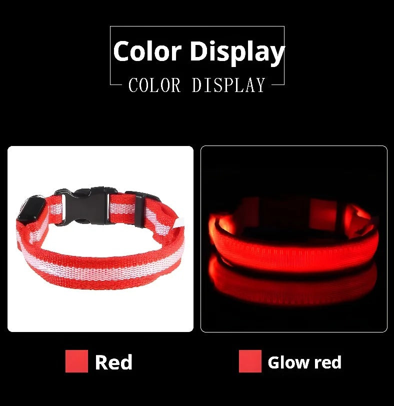 Pet Clothing Store Dog Collar Nylon LED Night Safety