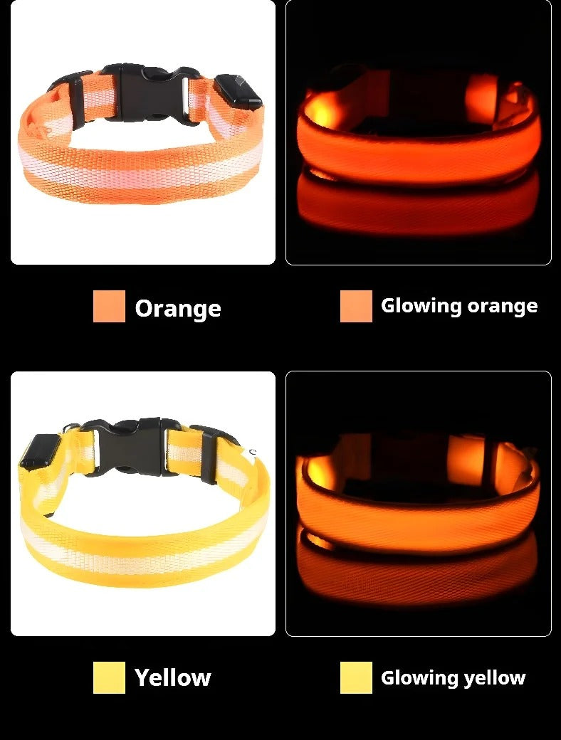 Pet Clothing Store Dog Collar Nylon LED Night Safety