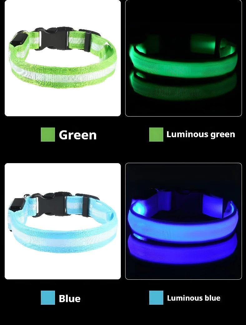 Pet Clothing Store Dog Collar Nylon LED Night Safety