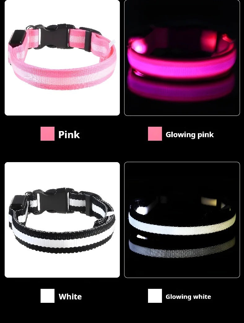 Pet Clothing Store Dog Collar Nylon LED Night Safety