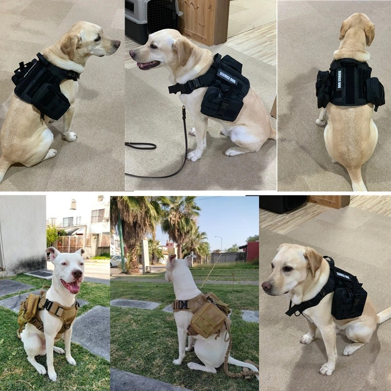 Tactical Military Vest Pet Training Dog Harness and Leash Set For All Breeds Dogs