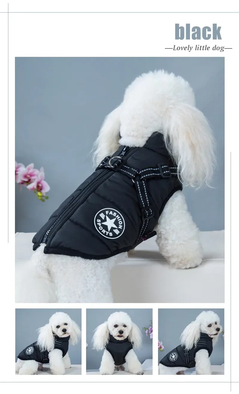 Waterproof Warm Winter Jacket for Dogs