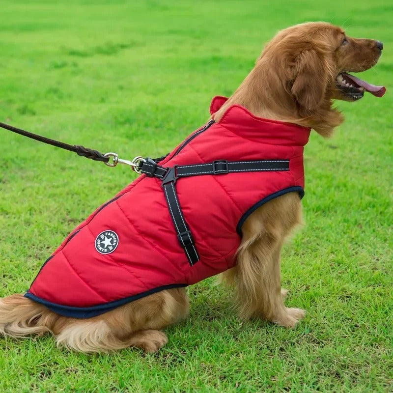 Waterproof Warm Winter Jacket for Dogs