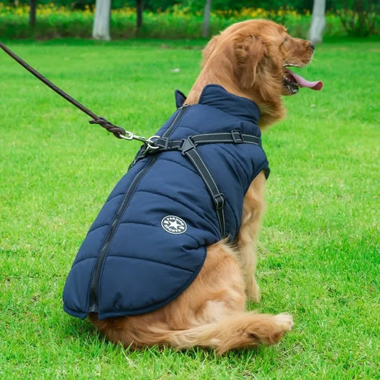 Waterproof Warm Winter Jacket for Dogs