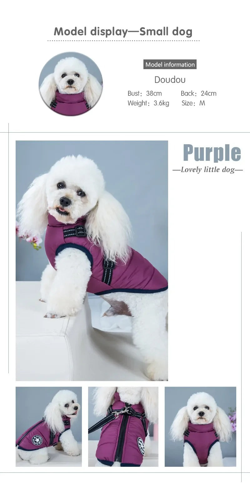 Waterproof Warm Winter Jacket for Dogs