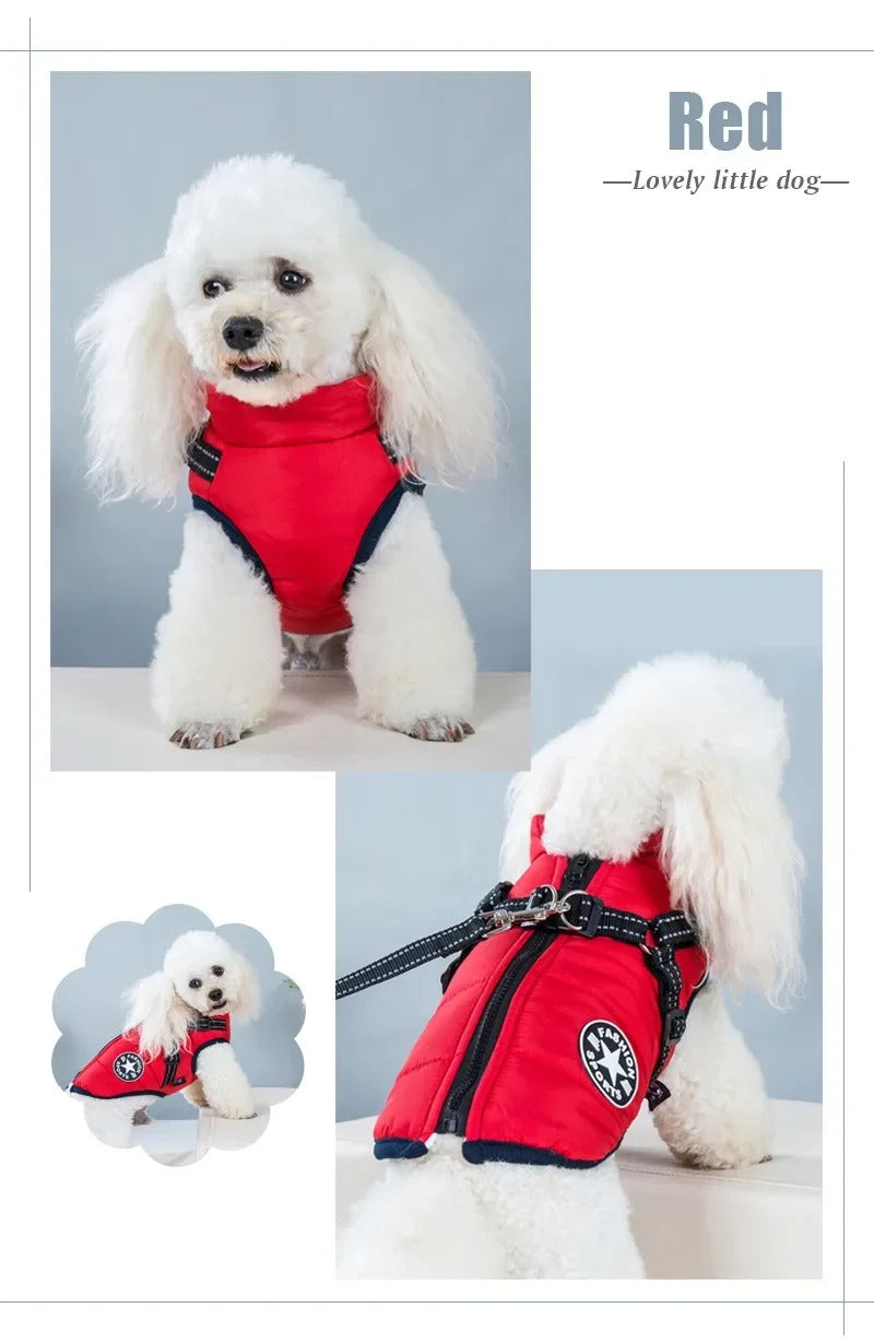 Waterproof Warm Winter Jacket for Dogs