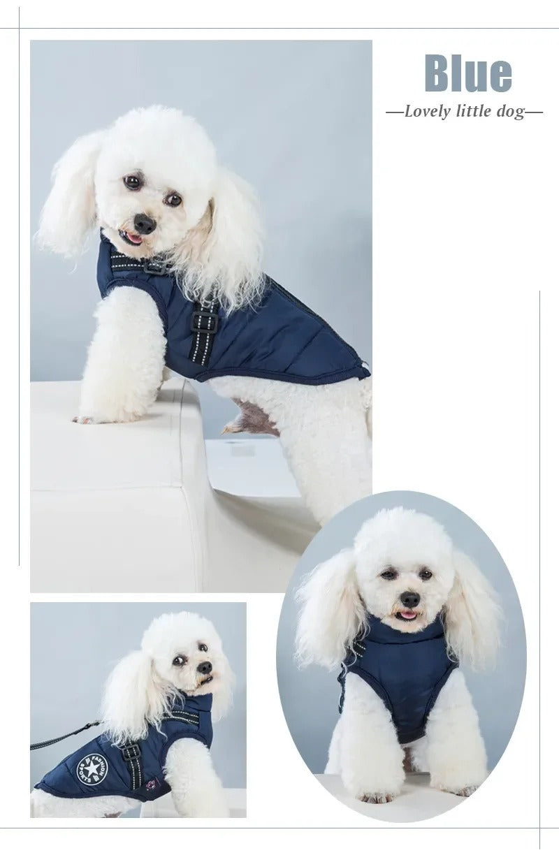 Waterproof Warm Winter Jacket for Dogs